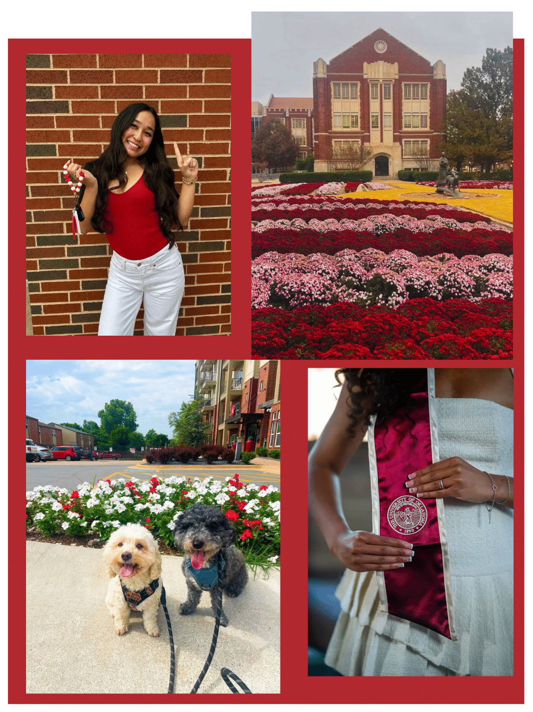 collage of student life and campus amenities, including a student posing outdoors, a view of university of oklahoma campus, dogs outside apartment grounds, and a graduation sash